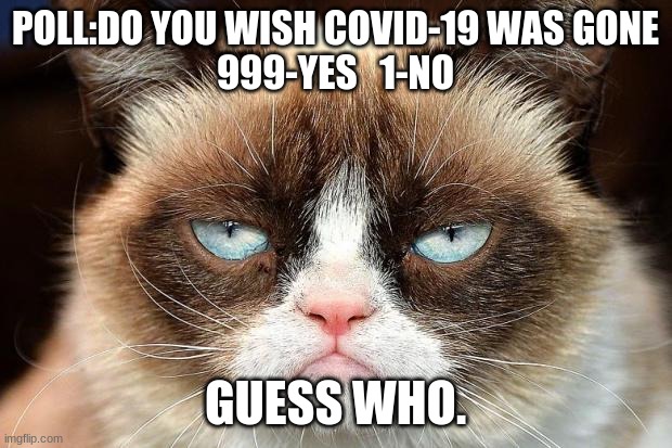 covid-19 and grumpy cat | POLL:DO YOU WISH COVID-19 WAS GONE
999-YES   1-NO; GUESS WHO. | image tagged in memes,grumpy cat not amused,grumpy cat | made w/ Imgflip meme maker