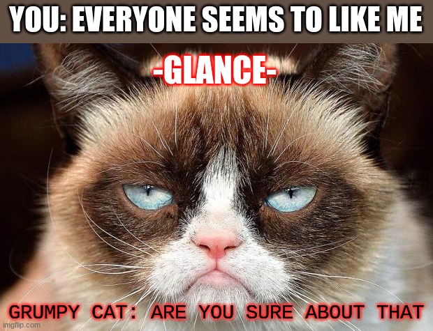 who likes me | YOU: EVERYONE SEEMS TO LIKE ME; -GLANCE-; GRUMPY CAT: ARE YOU SURE ABOUT THAT | image tagged in grumpy cat glare | made w/ Imgflip meme maker