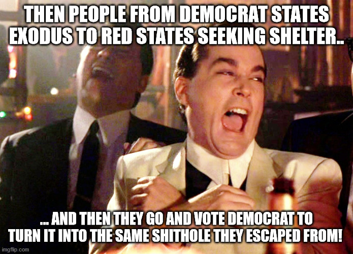 Good Fellas Hilarious Meme | THEN PEOPLE FROM DEMOCRAT STATES EXODUS TO RED STATES SEEKING SHELTER.. ... AND THEN THEY GO AND VOTE DEMOCRAT TO TURN IT INTO THE SAME SHIT | image tagged in memes,good fellas hilarious | made w/ Imgflip meme maker