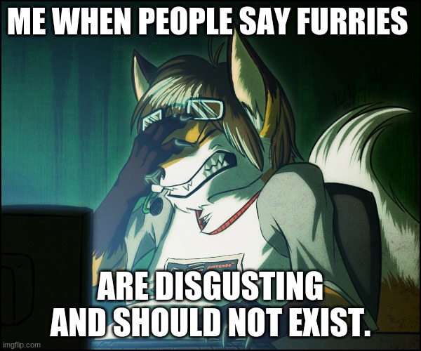 Why must people be so awful | ME WHEN PEOPLE SAY FURRIES; ARE DISGUSTING AND SHOULD NOT EXIST. | image tagged in furry facepalm,sad | made w/ Imgflip meme maker