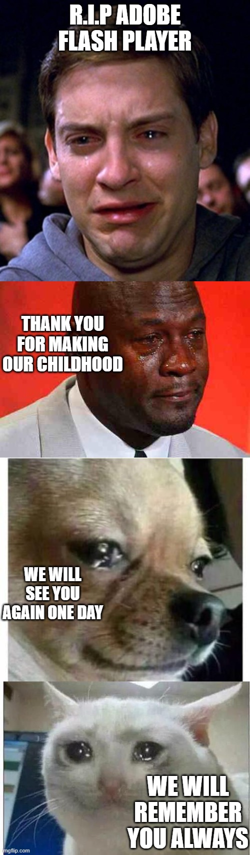 R.I.P Adobe Flash Player | R.I.P ADOBE FLASH PLAYER; THANK YOU FOR MAKING OUR CHILDHOOD; WE WILL SEE YOU AGAIN ONE DAY; WE WILL REMEMBER YOU ALWAYS | image tagged in crying peter parker,crying michael jordan,crying dog,crying cat | made w/ Imgflip meme maker