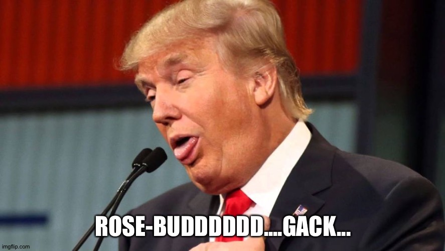 Citizen Trump | ROSE-BUDDDDDD....GACK... | image tagged in stupid trump | made w/ Imgflip meme maker