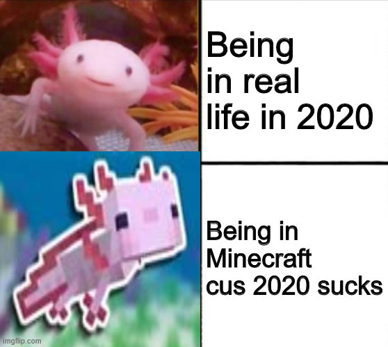 reject 2020 go to minecraft | Being in real life in 2020; Being in Minecraft cus 2020 sucks | image tagged in memes,animals,axolotl,minecraft | made w/ Imgflip meme maker