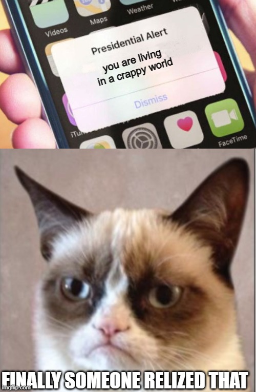 Lol i actually think so xD | you are living in a crappy world; FINALLY SOMEONE RELIZED THAT | image tagged in memes,presidential alert,grumpy cat | made w/ Imgflip meme maker