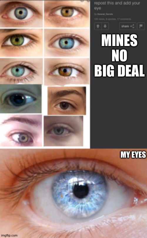 Eyes | MINES NO BIG DEAL; MY EYES | image tagged in eyes | made w/ Imgflip meme maker