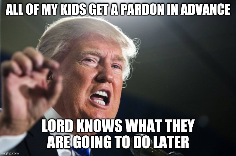 donald trump | ALL OF MY KIDS GET A PARDON IN ADVANCE LORD KNOWS WHAT THEY ARE GOING TO DO LATER | image tagged in donald trump | made w/ Imgflip meme maker