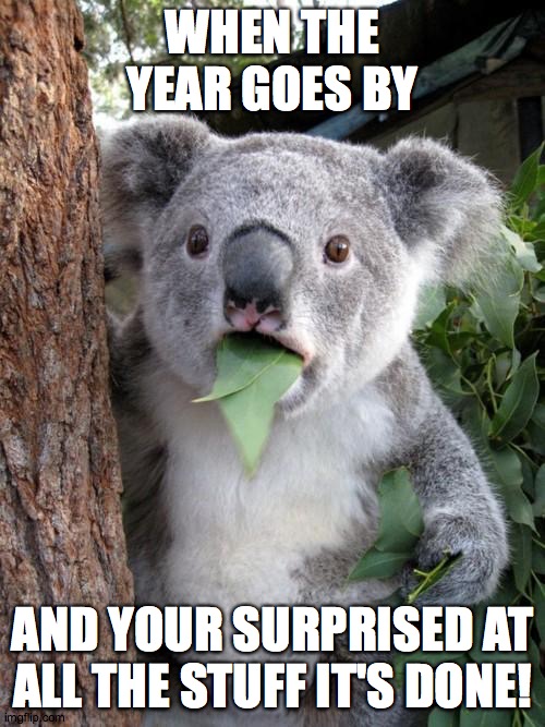 We are about to say goodbye (and good riddance) to the monstrous year of 2020! | WHEN THE YEAR GOES BY; AND YOUR SURPRISED AT ALL THE STUFF IT'S DONE! | image tagged in memes,surprised koala,new years,2020 | made w/ Imgflip meme maker