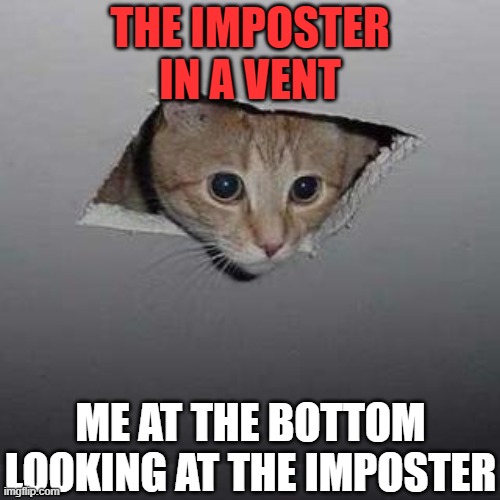 Ceiling Cat Meme | THE IMPOSTER IN A VENT; ME AT THE BOTTOM LOOKING AT THE IMPOSTER | image tagged in memes,ceiling cat,funny,cats | made w/ Imgflip meme maker