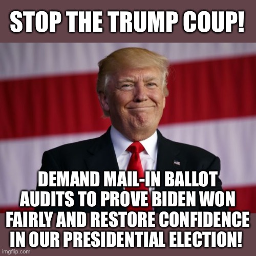 Stop the Trump Coup | STOP THE TRUMP COUP! DEMAND MAIL-IN BALLOT AUDITS TO PROVE BIDEN WON FAIRLY AND RESTORE CONFIDENCE IN OUR PRESIDENTIAL ELECTION! | image tagged in election fraud | made w/ Imgflip meme maker