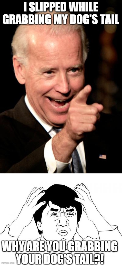 I SLIPPED WHILE GRABBING MY DOG'S TAIL; WHY ARE YOU GRABBING YOUR DOG'S TAIL?! | image tagged in memes,smilin biden,jackie chan wtf | made w/ Imgflip meme maker