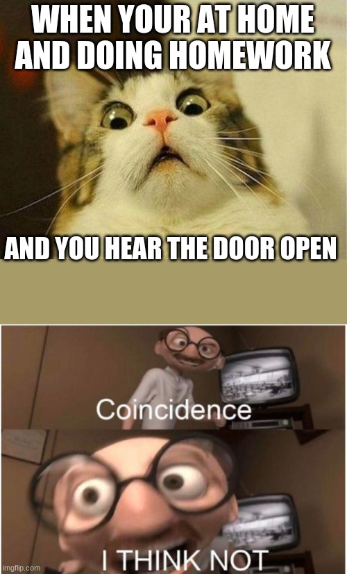 Scary moments | WHEN YOUR AT HOME AND DOING HOMEWORK; AND YOU HEAR THE DOOR OPEN | image tagged in memes,scared cat,funny memes | made w/ Imgflip meme maker