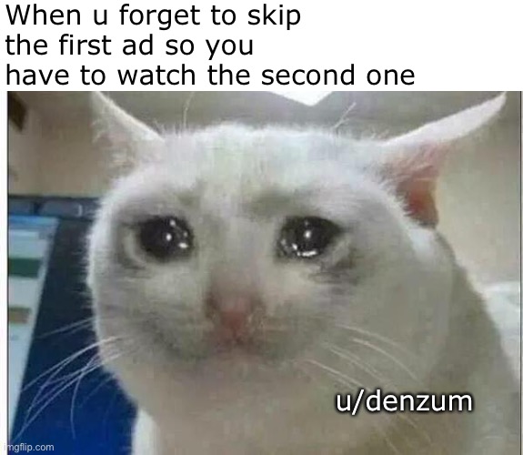 Ehehhehehehe | When u forget to skip the first ad so you have to watch the second one; u/denzum | image tagged in crying cat | made w/ Imgflip meme maker