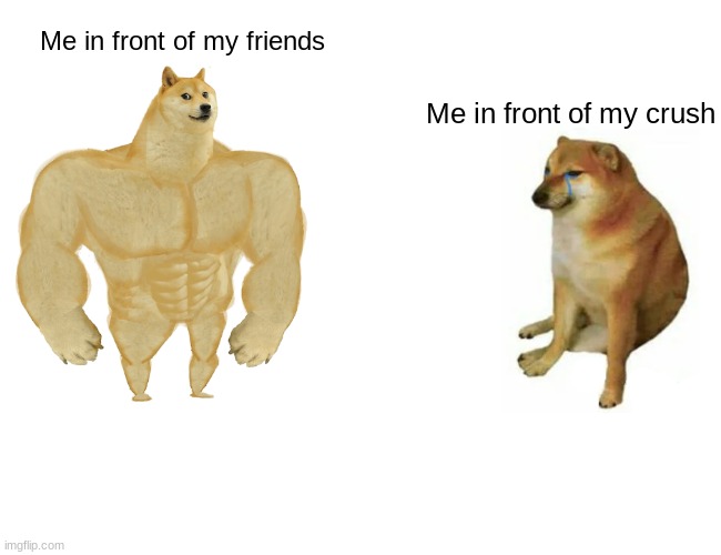 Buff Doge vs. Cheems | Me in front of my friends; Me in front of my crush | image tagged in memes,buff doge vs cheems | made w/ Imgflip meme maker