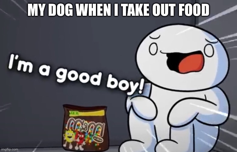 My dog when I take out food | MY DOG WHEN I TAKE OUT FOOD | image tagged in funny | made w/ Imgflip meme maker