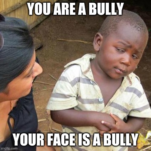 Third World Skeptical Kid | YOU ARE A BULLY; YOUR FACE IS A BULLY | image tagged in memes,third world skeptical kid | made w/ Imgflip meme maker