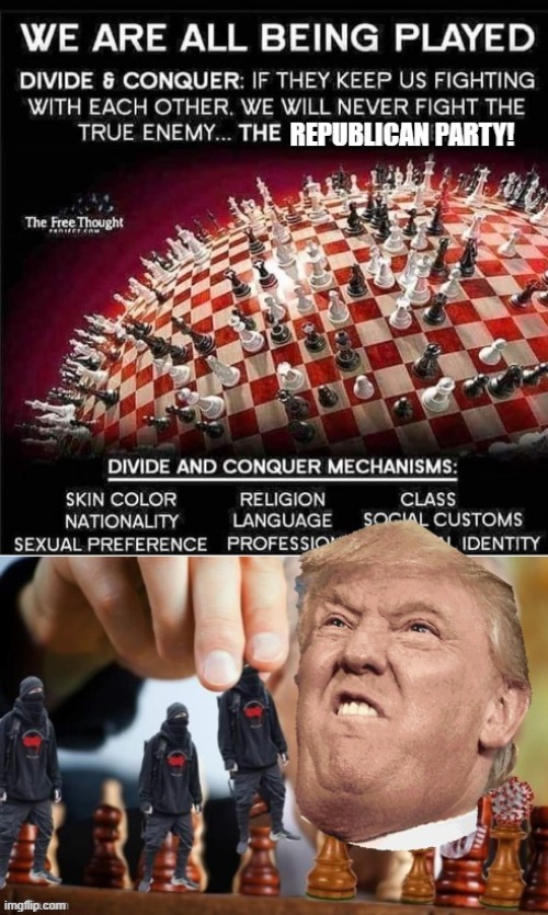 no u maga | image tagged in trump divider-in-chief,maga,no u,trump is an asshole,donald trump is an idiot,chess | made w/ Imgflip meme maker