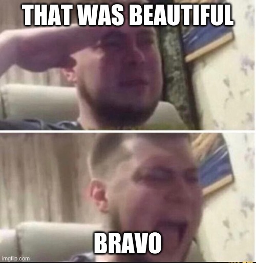 Crying salute | THAT WAS BEAUTIFUL BRAVO | image tagged in crying salute | made w/ Imgflip meme maker