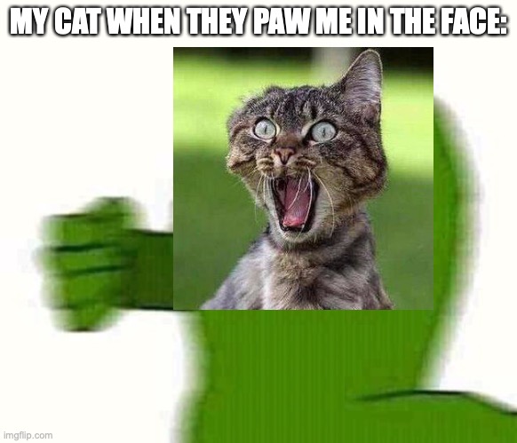MY CAT WHEN THEY PAW ME IN THE FACE: | made w/ Imgflip meme maker