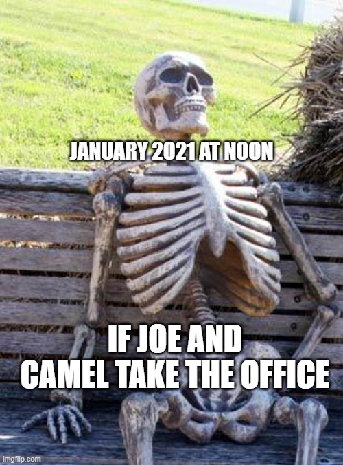 Waiting Skeleton | JANUARY 2021 AT NOON; IF JOE AND CAMEL TAKE THE OFFICE | image tagged in memes,waiting skeleton | made w/ Imgflip meme maker