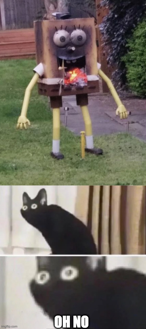 OH NO | image tagged in oh no black cat | made w/ Imgflip meme maker