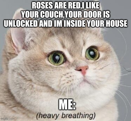 YOU SHOULD HAVE LOCKED YOU DOOR | ROSES ARE RED,I LIKE YOUR COUCH,YOUR DOOR IS UNLOCKED AND IM INSIDE YOUR HOUSE; ME: | image tagged in memes,heavy breathing cat | made w/ Imgflip meme maker