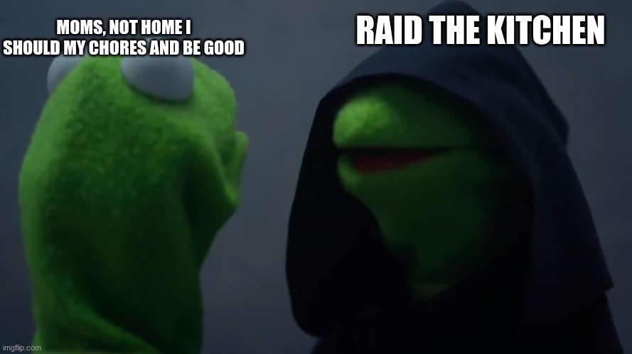 Being Home Alone | RAID THE KITCHEN; MOMS, NOT HOME I SHOULD MY CHORES AND BE GOOD | image tagged in kermit dark side | made w/ Imgflip meme maker