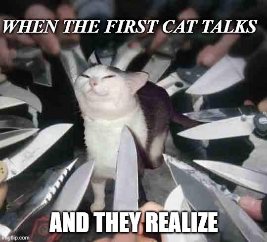 Knife Cat | WHEN THE FIRST CAT TALKS; AND THEY REALIZE | image tagged in knife cat | made w/ Imgflip meme maker