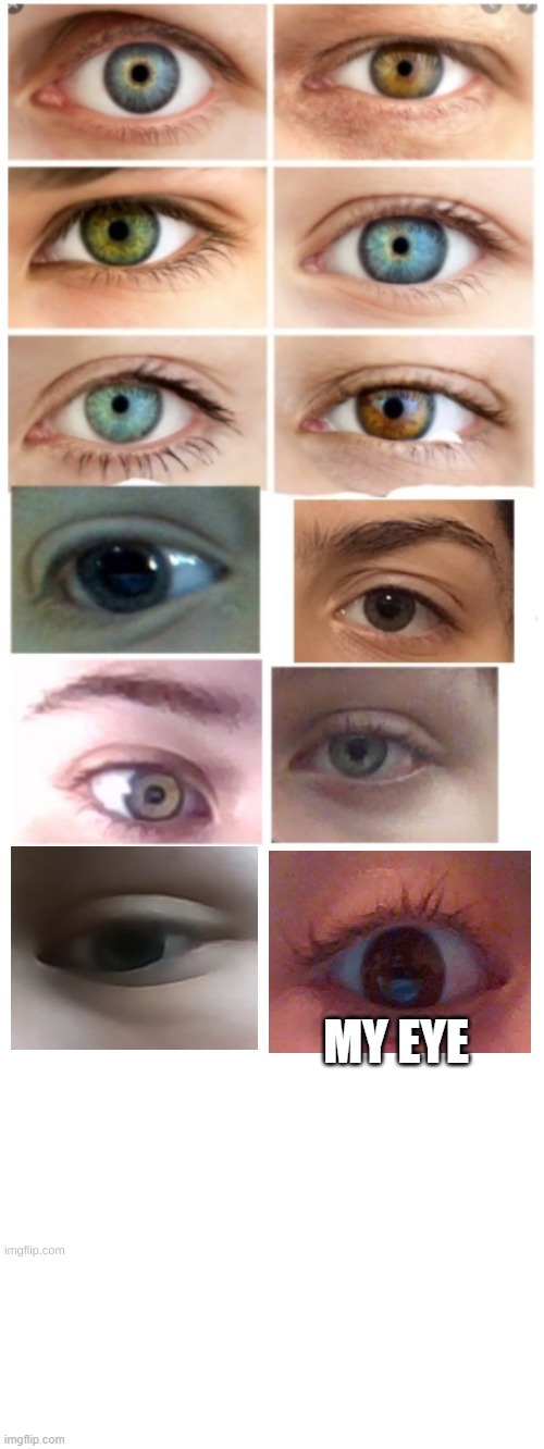 eyes Eyes EYES eyEYs | MY EYE | image tagged in eyes | made w/ Imgflip meme maker