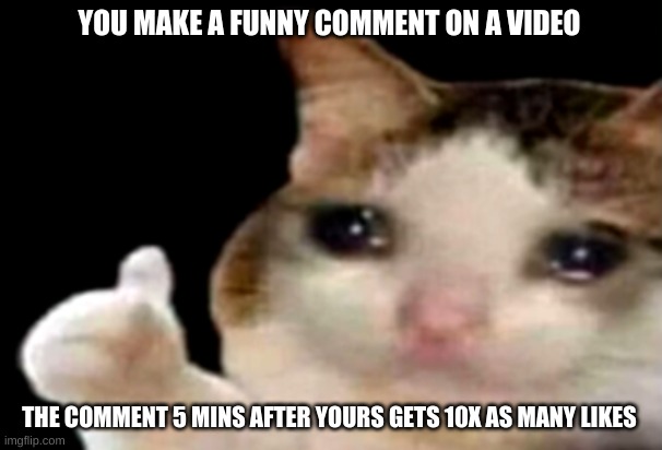 Sad cat thumbs up | YOU MAKE A FUNNY COMMENT ON A VIDEO; THE COMMENT 5 MINS AFTER YOURS GETS 10X AS MANY LIKES | image tagged in sad cat thumbs up | made w/ Imgflip meme maker