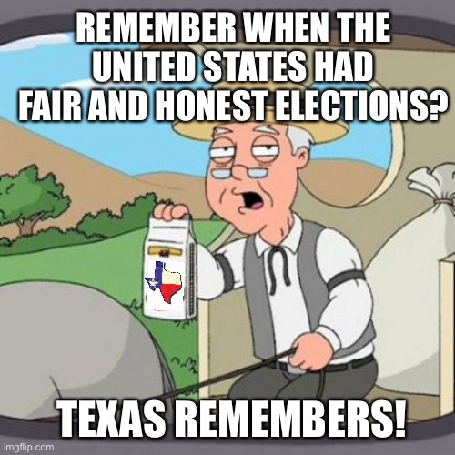 Texas Remembers | REMEMBER WHEN THE UNITED STATES HAD FAIR AND HONEST ELECTIONS? TEXAS REMEMBERS! | image tagged in election fraud | made w/ Imgflip meme maker