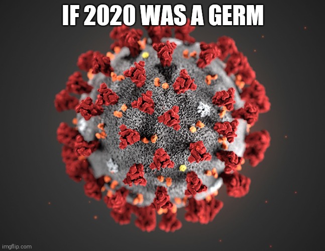 Covid Coronavirus | IF 2020 WAS A GERM | image tagged in coronavirus,germs,covid-19,2020 | made w/ Imgflip meme maker