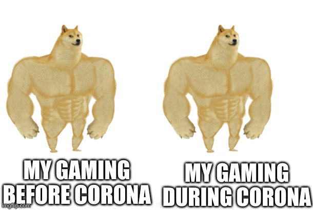 same difference | MY GAMING DURING CORONA; MY GAMING BEFORE CORONA | image tagged in gaming,buff doge vs cheems,memes | made w/ Imgflip meme maker