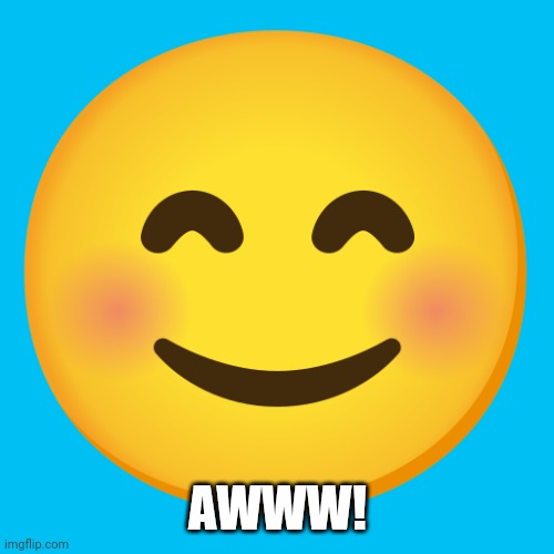 Cute Smiley Face Emoji | AWWW! | image tagged in cute smiley face emoji | made w/ Imgflip meme maker