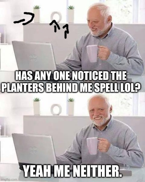 Hide the Pain Harold | HAS ANY ONE NOTICED THE PLANTERS BEHIND ME SPELL LOL? YEAH ME NEITHER. | image tagged in memes,hide the pain harold | made w/ Imgflip meme maker