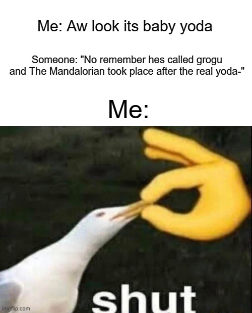 No matter what anyone says, ill always call him baby yoda | Me: Aw look its baby yoda; Someone: "No remember hes called grogu and The Mandalorian took place after the real yoda-"; Me: | image tagged in shut,baby yoda,the mandalorian,memes | made w/ Imgflip meme maker