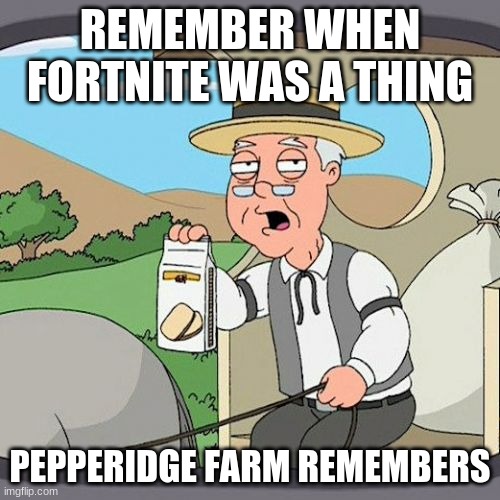 Pepperidge Farm Remembers | REMEMBER WHEN FORTNITE WAS A THING; PEPPERIDGE FARM REMEMBERS | image tagged in memes,pepperidge farm remembers | made w/ Imgflip meme maker
