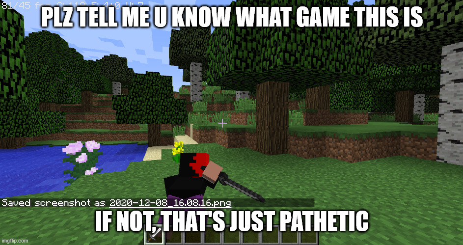 do u even know what game this is? | PLZ TELL ME U KNOW WHAT GAME THIS IS; IF NOT, THAT'S JUST PATHETIC | image tagged in minecraft | made w/ Imgflip meme maker