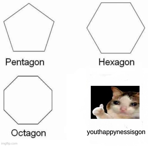 the cat | youthappynessisgon | image tagged in memes,pentagon hexagon octagon | made w/ Imgflip meme maker
