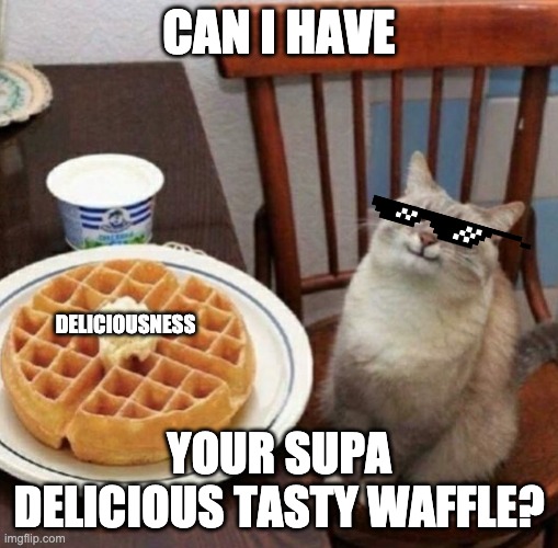 Can I have... | CAN I HAVE; DELICIOUSNESS; YOUR SUPA DELICIOUS TASTY WAFFLE? | image tagged in cat likes their waffle,memes,waffle,cat | made w/ Imgflip meme maker