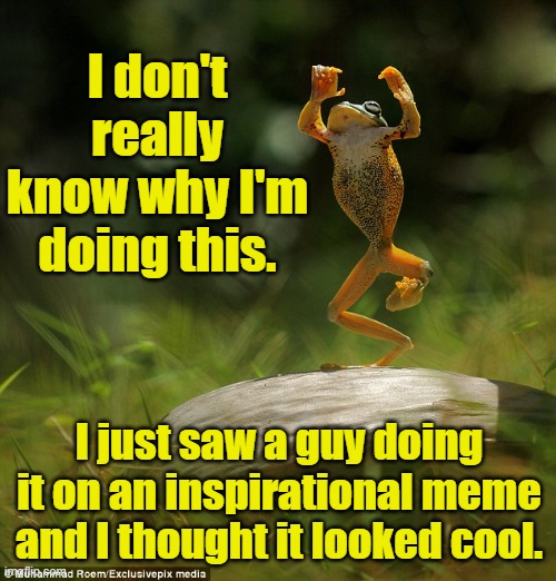 Inspirational Frog Meme | I don't really know why I'm doing this. I just saw a guy doing it on an inspirational meme and I thought it looked cool. | image tagged in frog,frog week,inspirational quote,inspirational memes,sarcasm | made w/ Imgflip meme maker