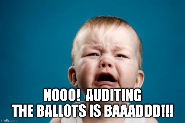 BABY CRYING | NOOO!  AUDITING THE BALLOTS IS BAAADDD!!! | image tagged in baby crying | made w/ Imgflip meme maker