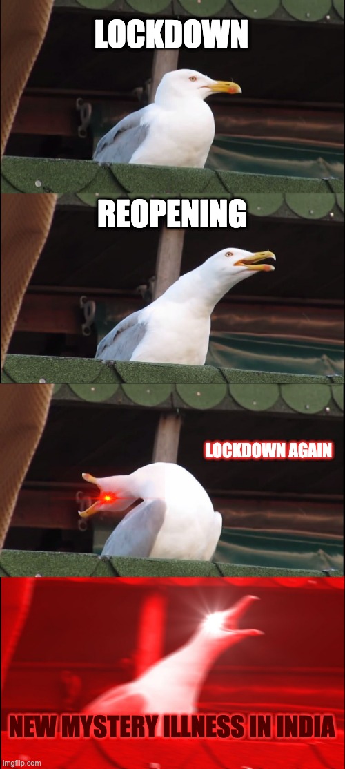 Go die in a hole 2020 | LOCKDOWN; REOPENING; LOCKDOWN AGAIN; NEW MYSTERY ILLNESS IN INDIA | image tagged in memes,inhaling seagull | made w/ Imgflip meme maker