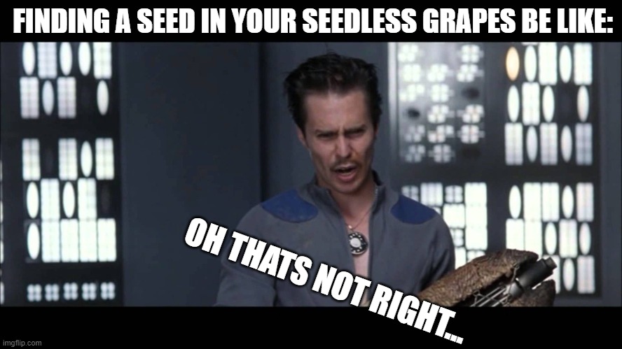 Oh! That’s not right!  | FINDING A SEED IN YOUR SEEDLESS GRAPES BE LIKE:; OH THATS NOT RIGHT... | image tagged in oh that s not right | made w/ Imgflip meme maker