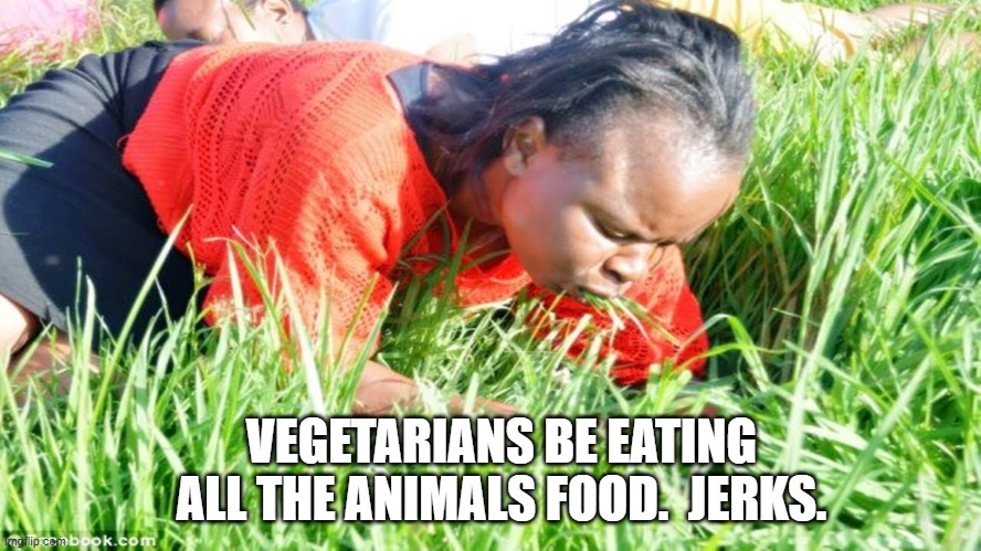 eating grass | VEGETARIANS BE EATING ALL THE ANIMALS FOOD.  JERKS. | image tagged in eating grass | made w/ Imgflip meme maker