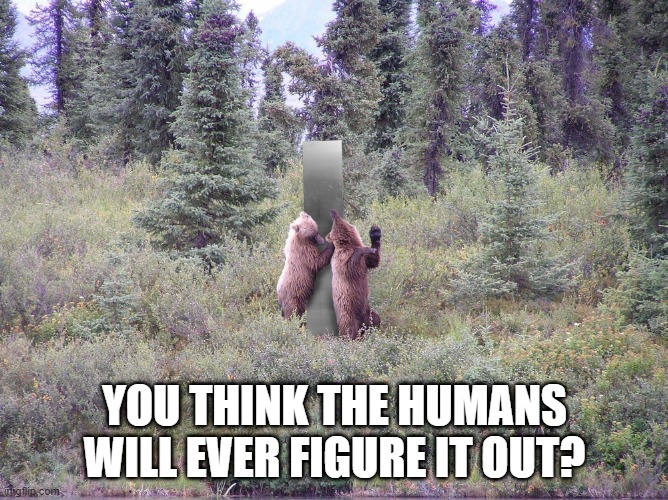 YOU THINK THE HUMANS WILL EVER FIGURE IT OUT? | image tagged in memes,funny memes,monolith,bears | made w/ Imgflip meme maker