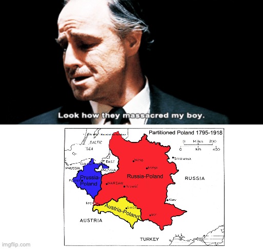 Partitioning Poland | image tagged in look how they massacred my boy,poland,historical meme,memes | made w/ Imgflip meme maker