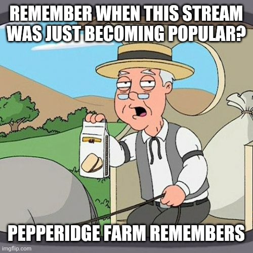 I remember the days. lol | REMEMBER WHEN THIS STREAM WAS JUST BECOMING POPULAR? PEPPERIDGE FARM REMEMBERS | image tagged in memes,pepperidge farm remembers | made w/ Imgflip meme maker