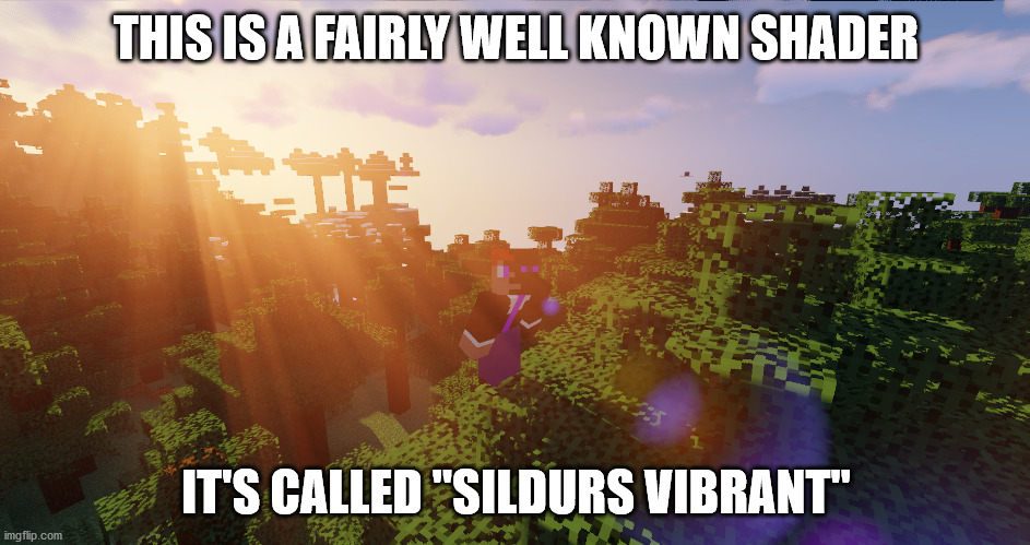 a minecraft shader | THIS IS A FAIRLY WELL KNOWN SHADER; IT'S CALLED "SILDURS VIBRANT" | image tagged in minecraft | made w/ Imgflip meme maker