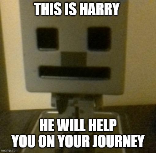 The companion | THIS IS HARRY; HE WILL HELP YOU ON YOUR JOURNEY | image tagged in harry | made w/ Imgflip meme maker