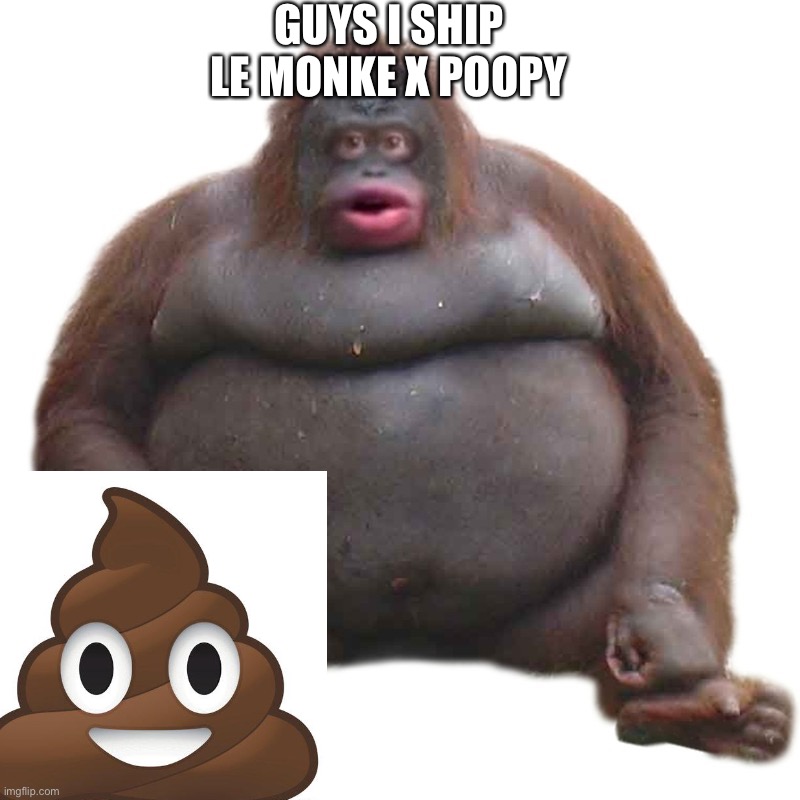ship | GUYS I SHIP LE MONKE X POOPY | image tagged in le monke | made w/ Imgflip meme maker